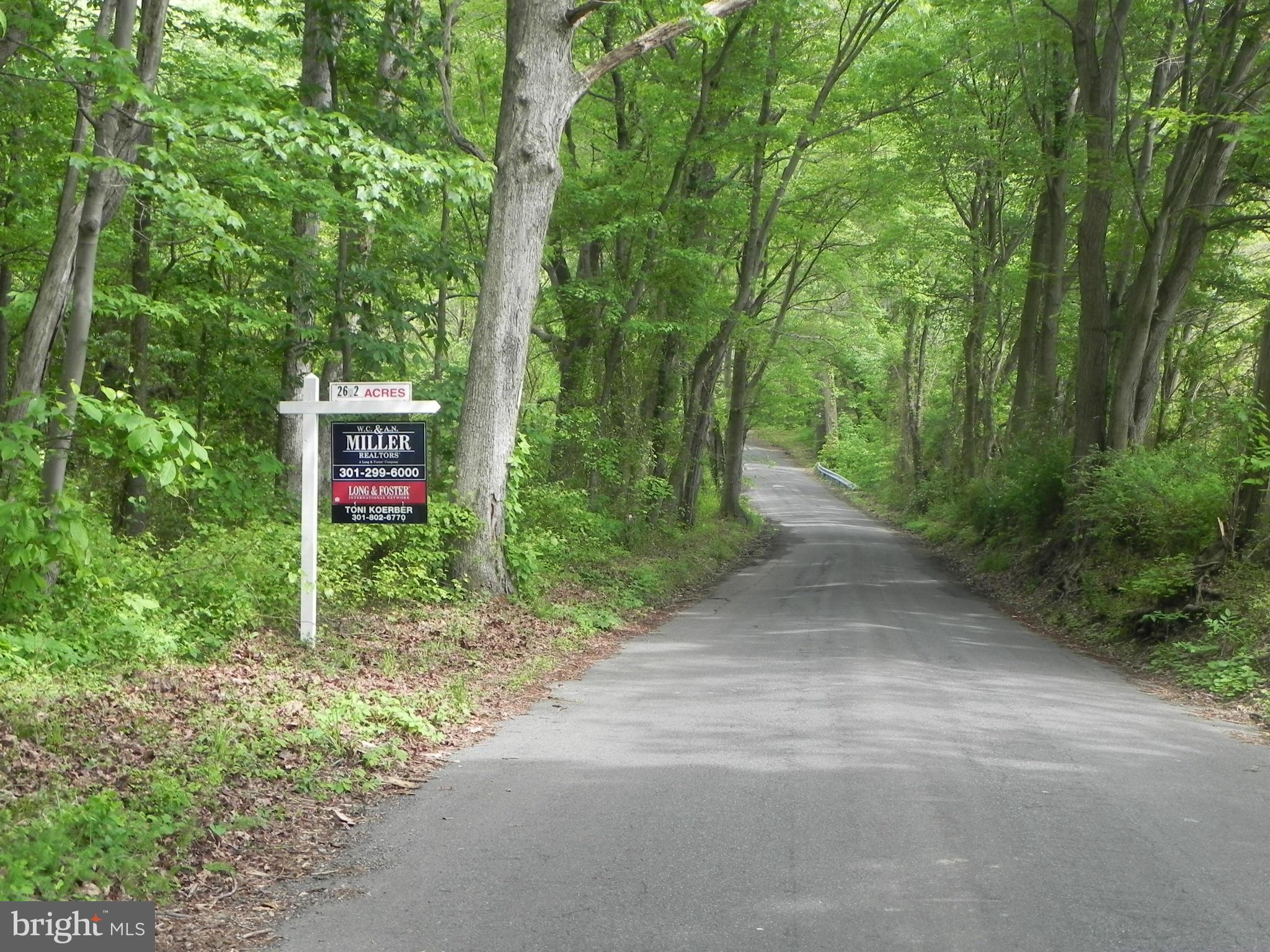 Moore Road Dickerson, MD 20842 - Photo 1 of 4 a view of a street with potted plants and large trees