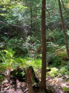 220 S Road Kents Hill, ME 04349 - Photo 79 of 89 south1