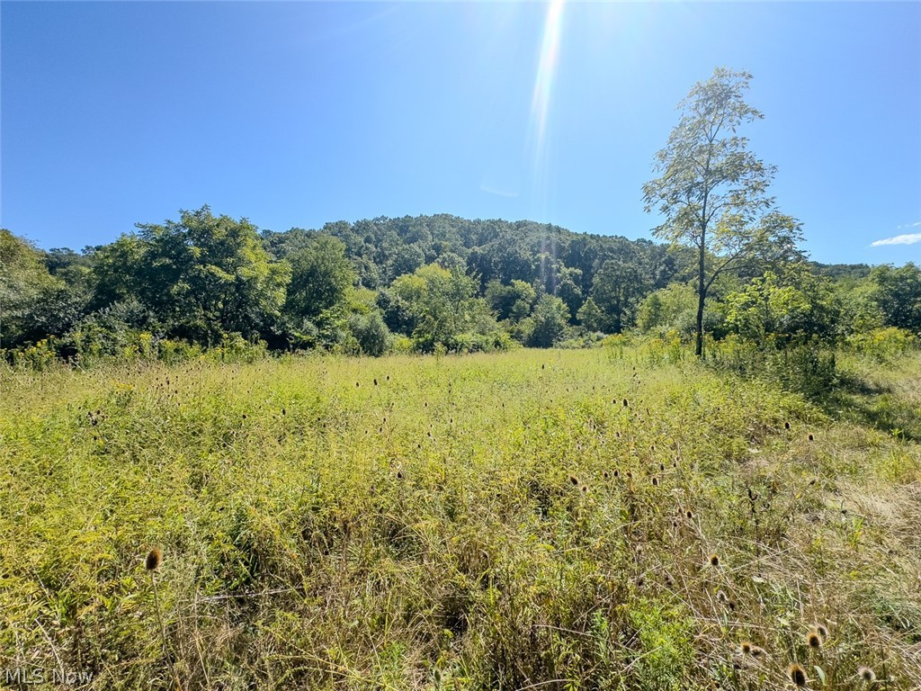 0 Brewer Road Cadiz, OH 43907 - Photo 12 of 37 View of mountain backdrop featuring rural landscape and a forest