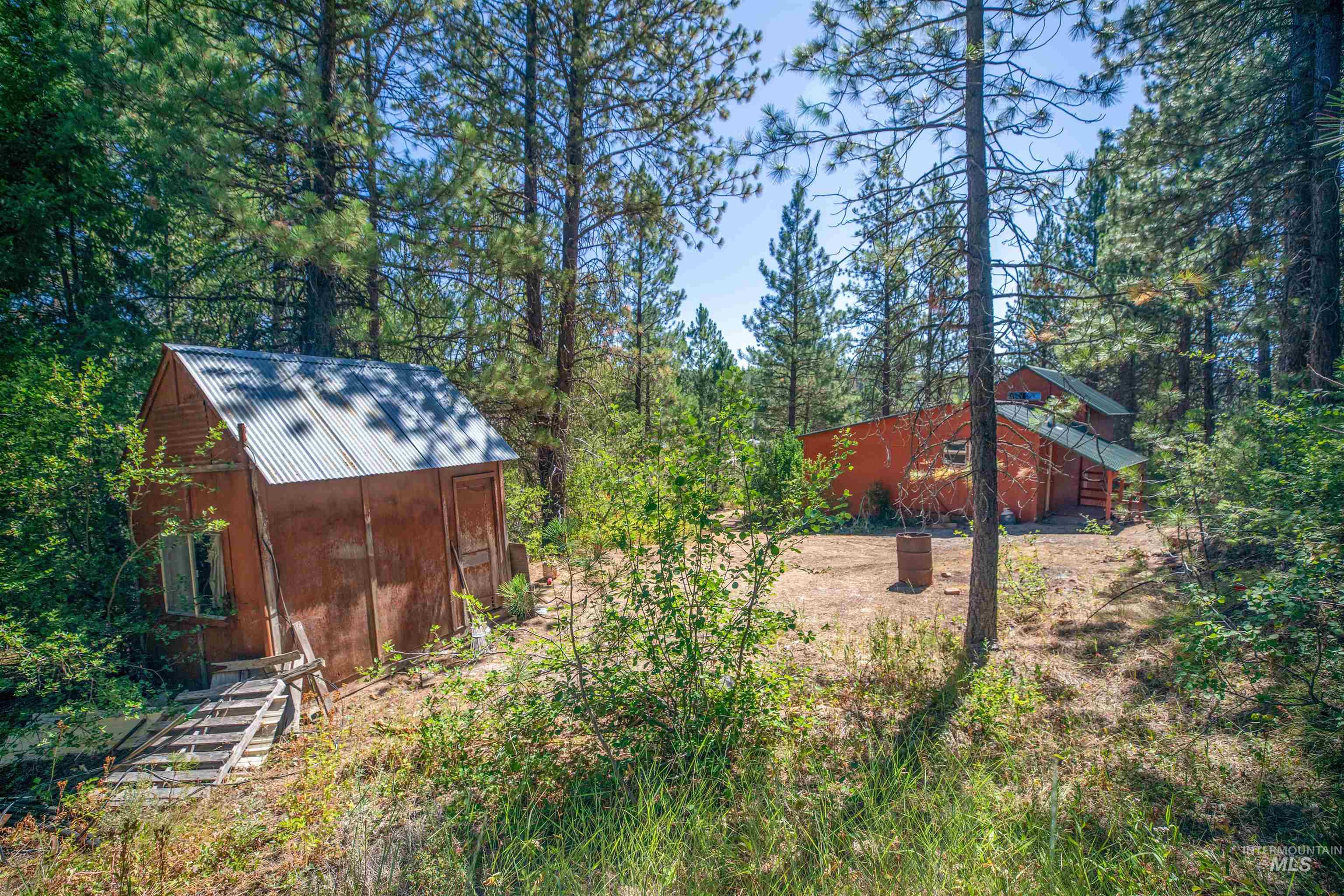 175 Ranft Road Placerville, ID 83666 - Photo 3 of 28 View of yard with a shed