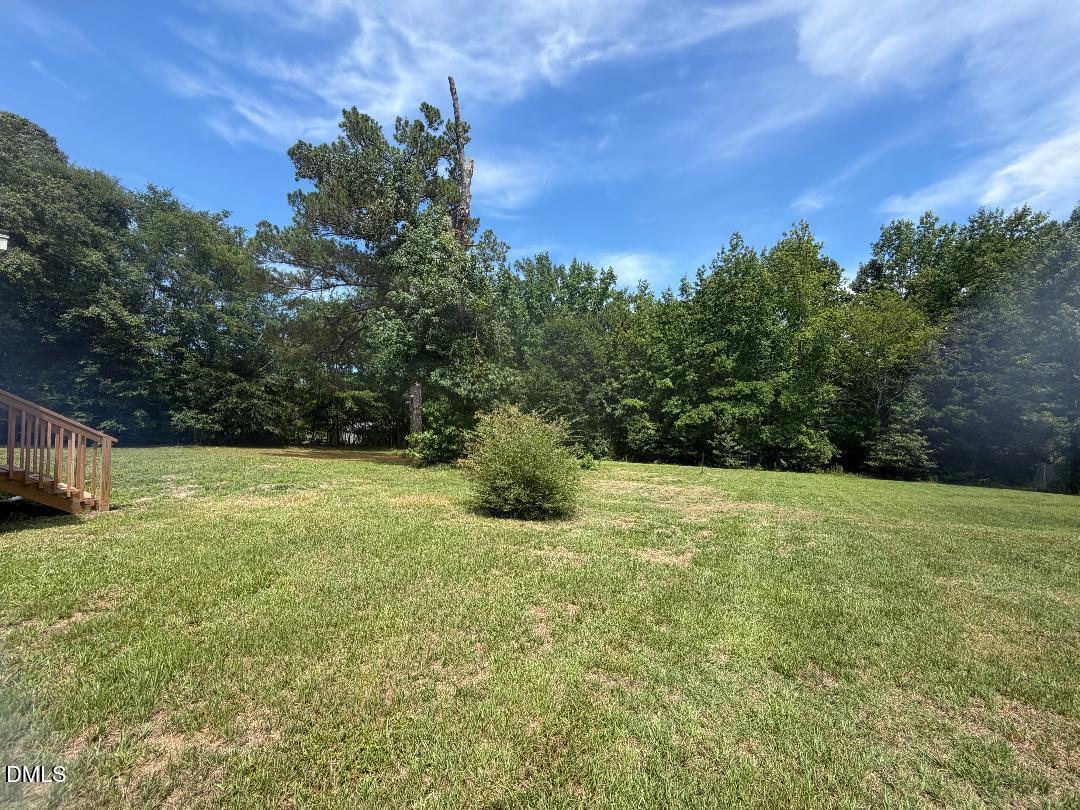 9503 Kennebec Road Willow Spring, NC 27592 - Photo 13 of 13 back yard