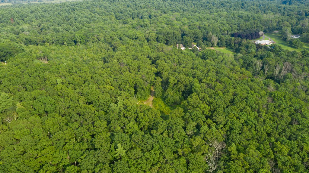 Lot 1 Old Gilbertville Road Ware, MA 01082 - Photo 6 of 11 Gallery Image 6
