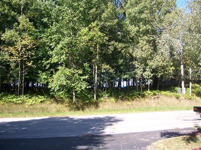 4355 Fox Farm Road Manistee, MI 49660 - Photo 13 of 18 Additional Photo