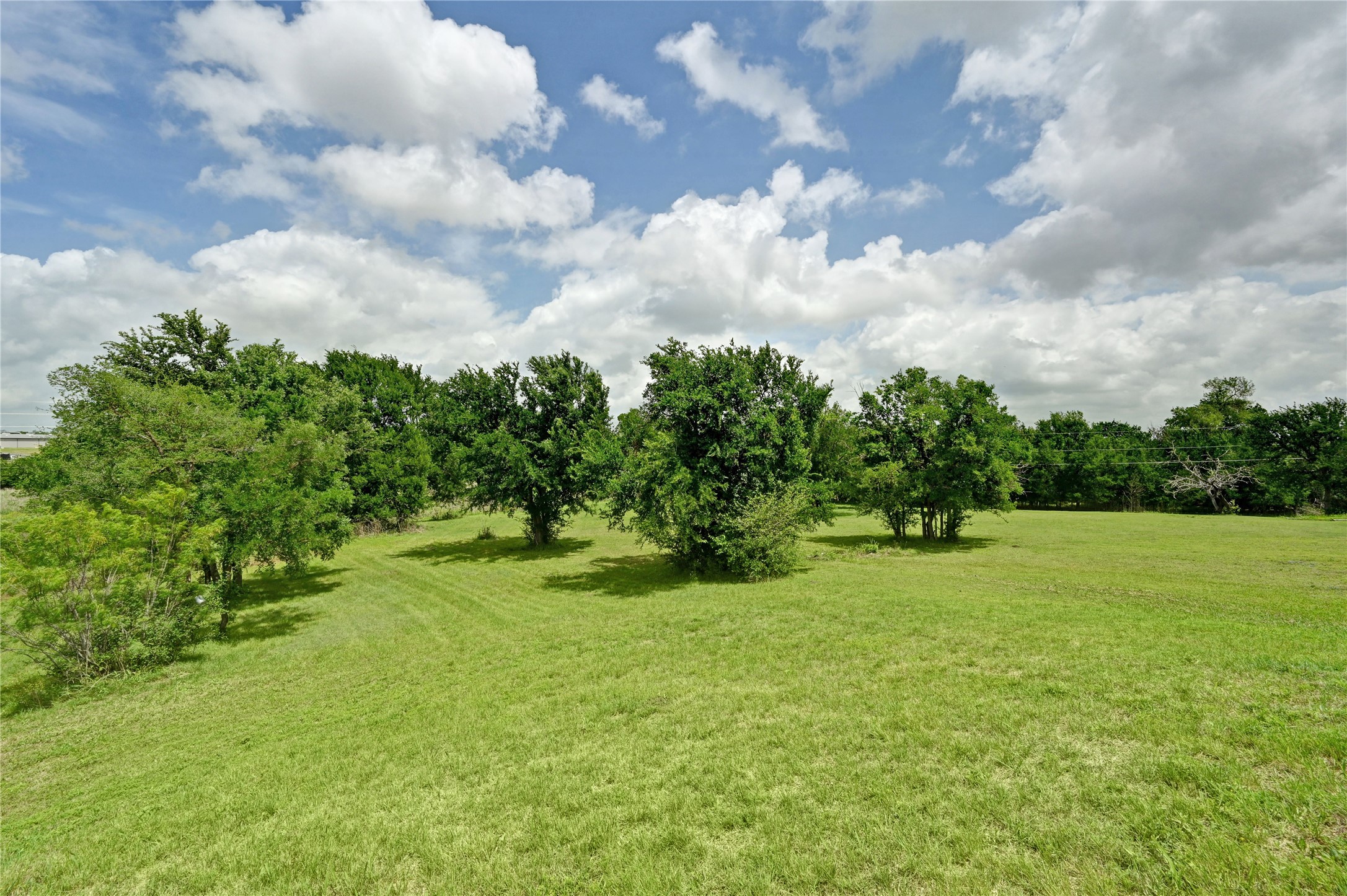 1700 Tanner Loop Taylor, TX 76574 - Photo 13 of 32 Expansive green field featuring mature trees and a partly cloudy sky