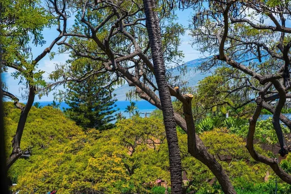 $850,000 | 2191 South Kihei Road, Unit 2419, Kihei, HI 96753