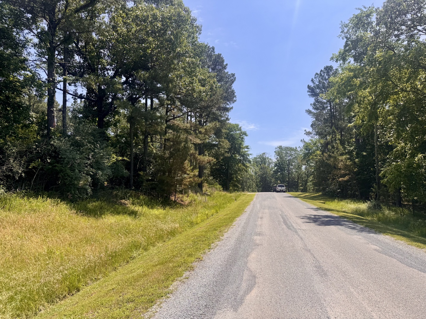 Lot 273-274 Rocky Point Road Goreville, IL 62939 - Photo 6 of 11