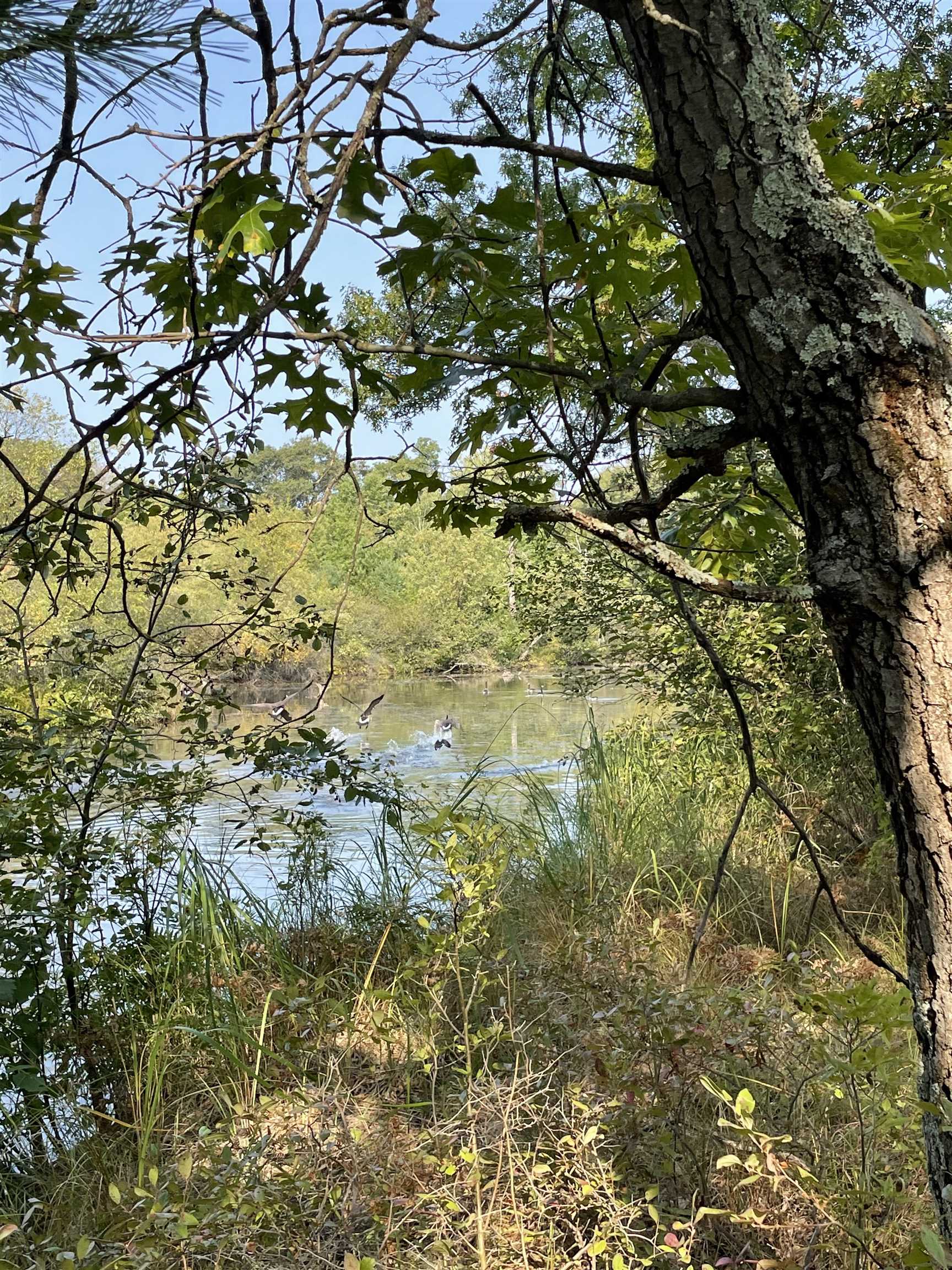 Lot 13 Waterstone Development New Lisbon, WI 53950 - Photo 34 of 45