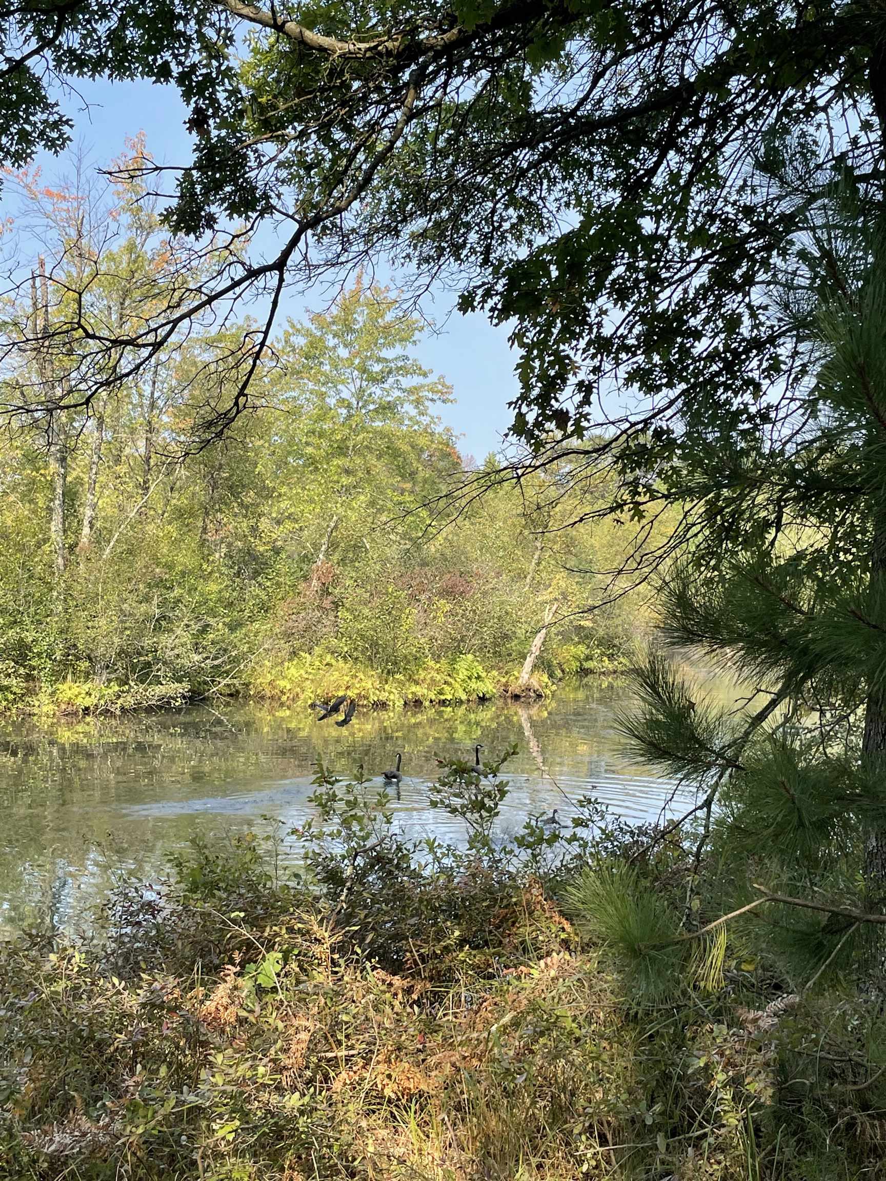 Lot 13 Waterstone Development New Lisbon, WI 53950 - Photo 35 of 45