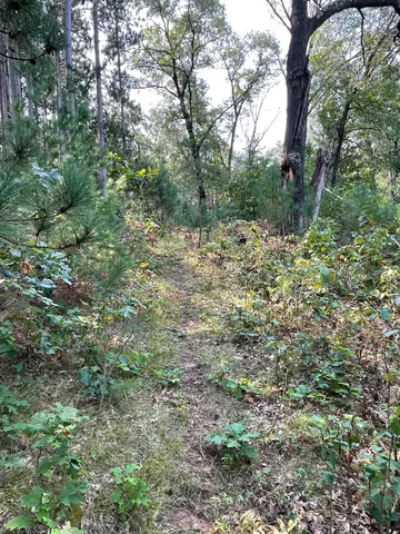 $25,000 | Lot 13 Waterstone Development, New Lisbon, WI 53950