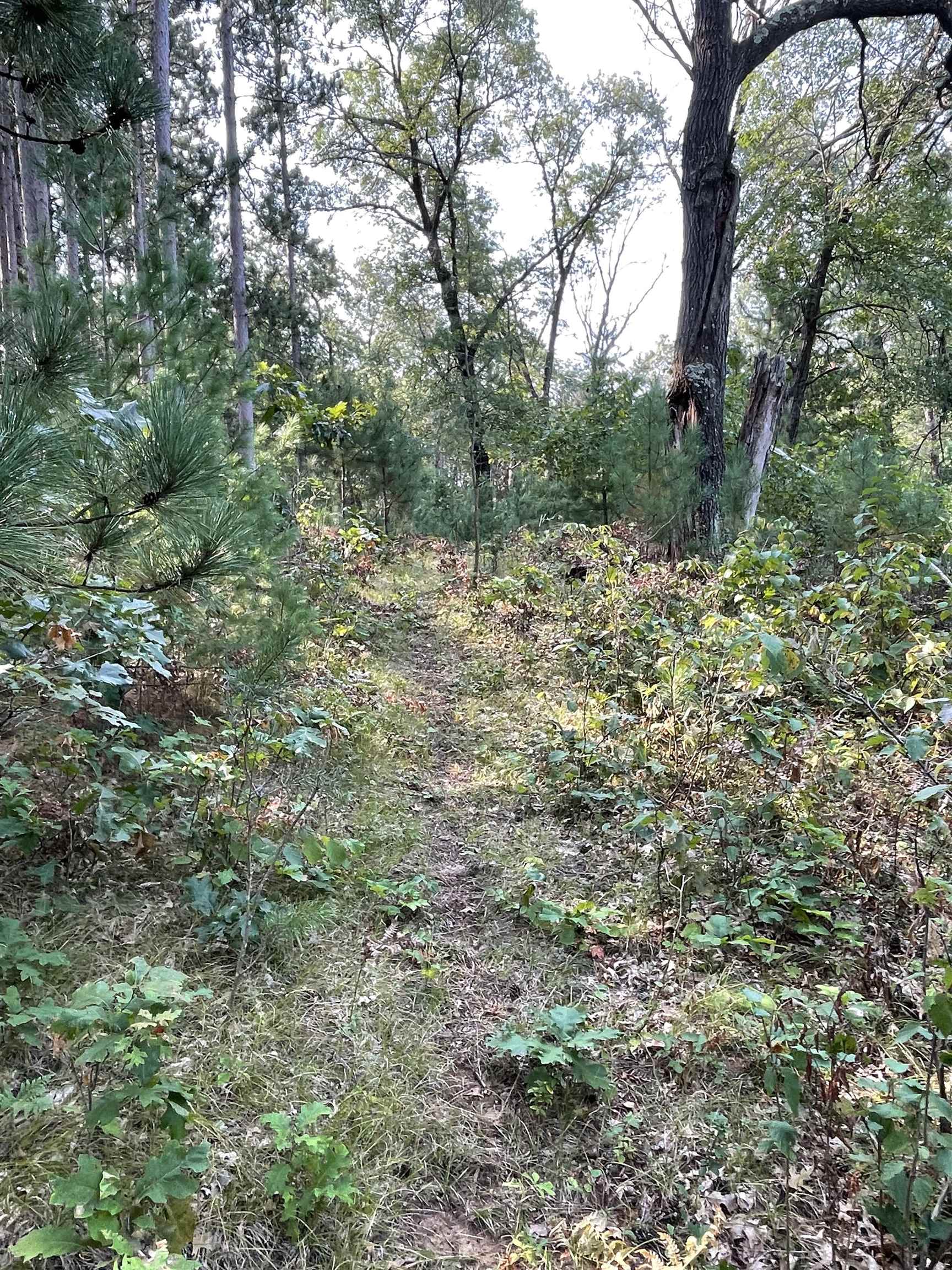 Lot 13 Waterstone Development New Lisbon, WI 53950 - Photo 40 of 45