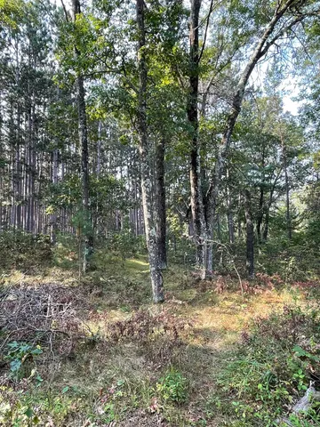 $25,000 | Lot 13 Waterstone Development, New Lisbon, WI 53950