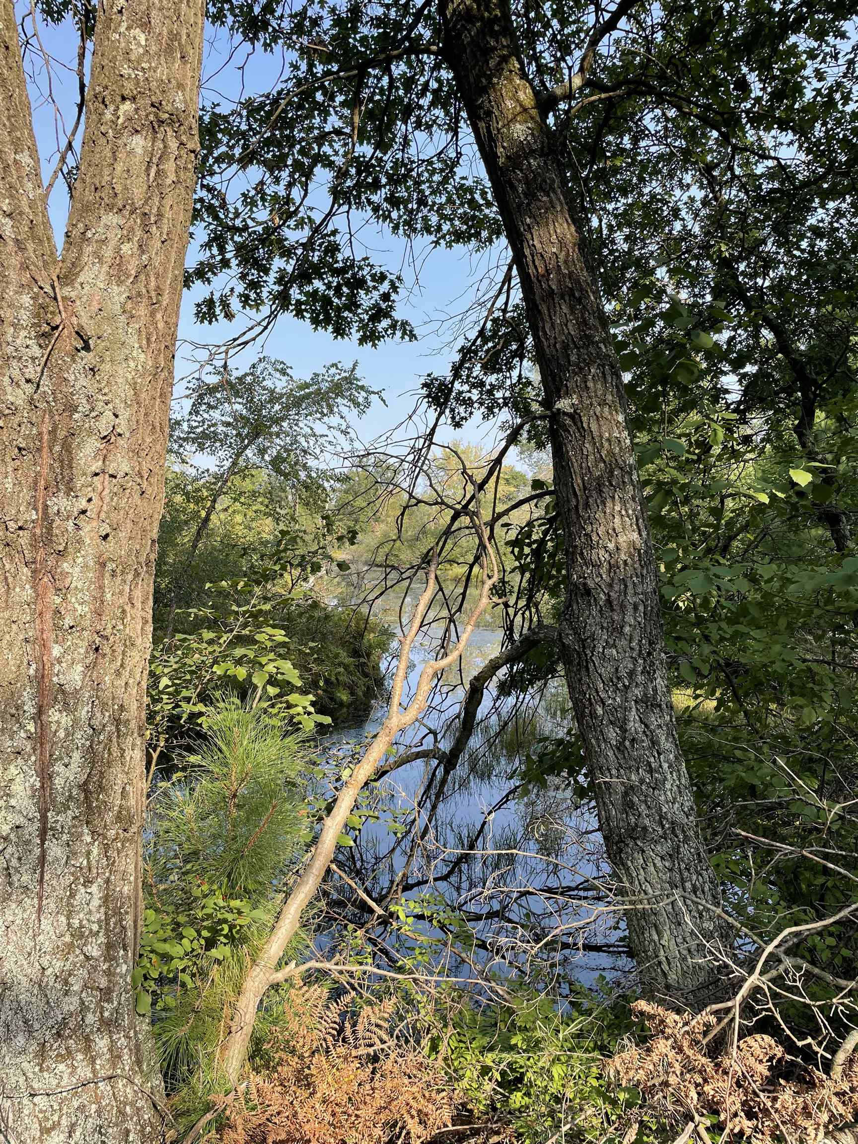 Lot 13 Waterstone Development New Lisbon, WI 53950 - Photo 43 of 45