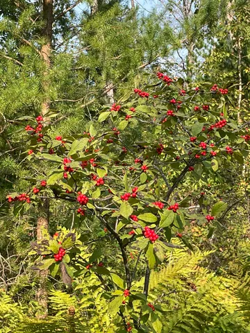 $25,000 | Lot 13 Waterstone Development, New Lisbon, WI 53950