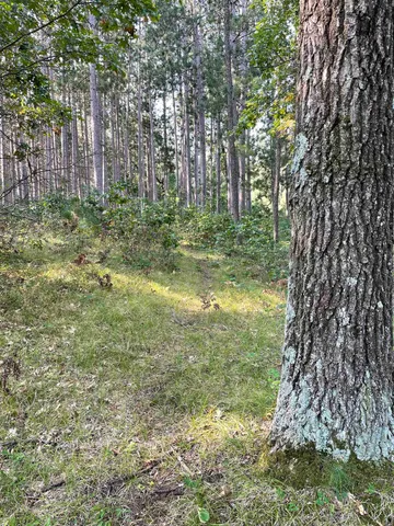 $25,000 | Lot 13 Waterstone Development, New Lisbon, WI 53950