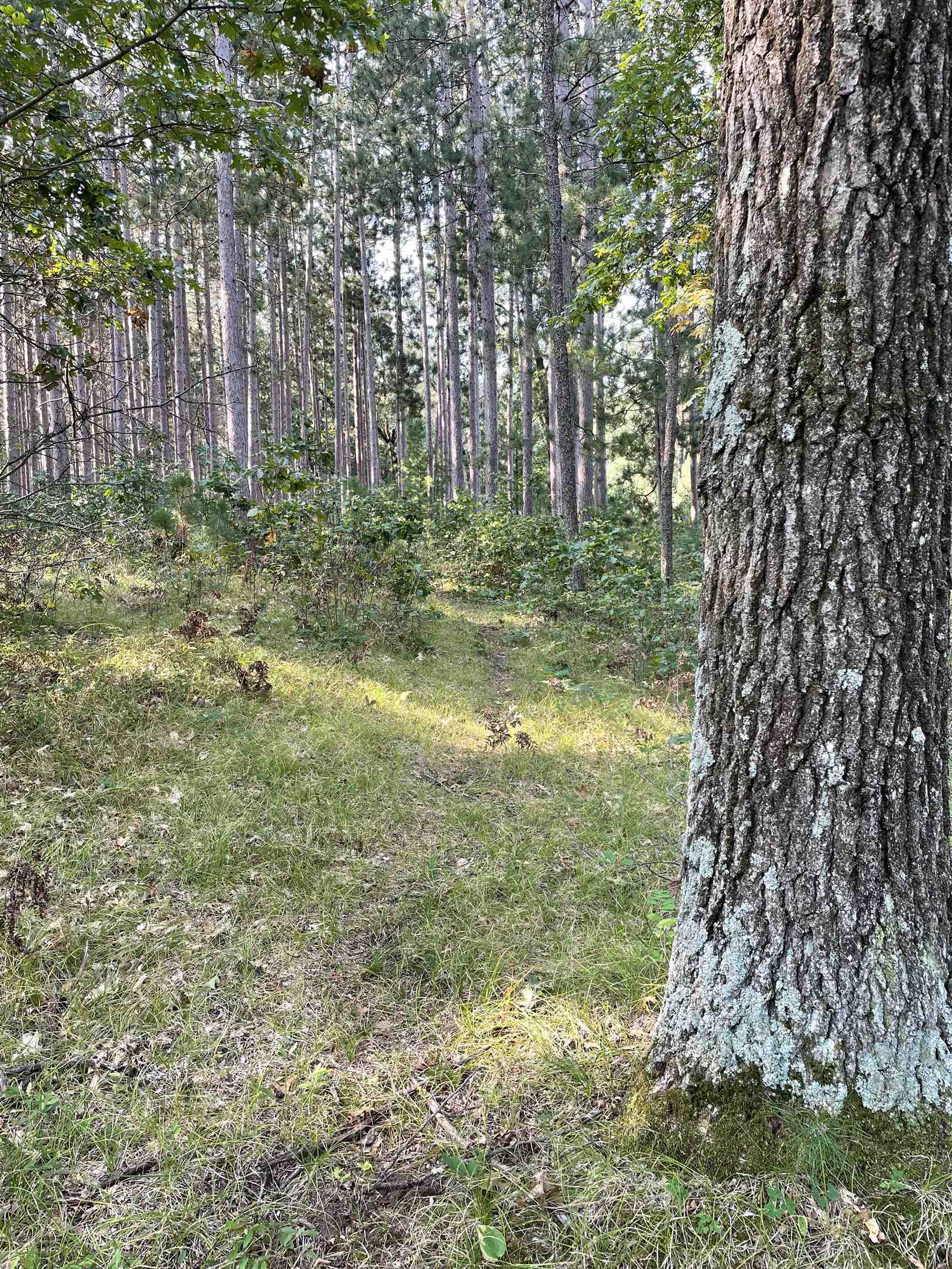 Lot 13 Waterstone Development New Lisbon, WI 53950 - Photo 45 of 45