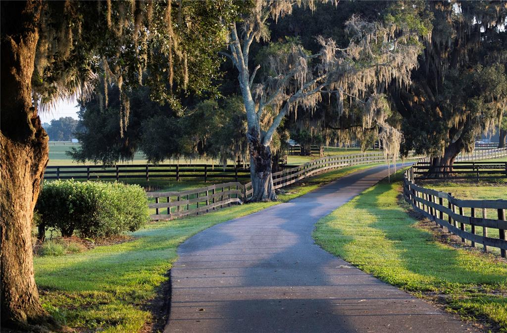 12750 Highway 40 Ocala, FL 34481 - Photo 4 of 43 a view of a park with large trees