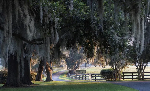 $13,000,000 | 12750 Highway 40, Ocala, FL 34481