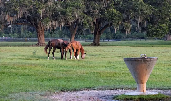 $9,250,000 | 12750 Highway 40, Ocala, FL 34481