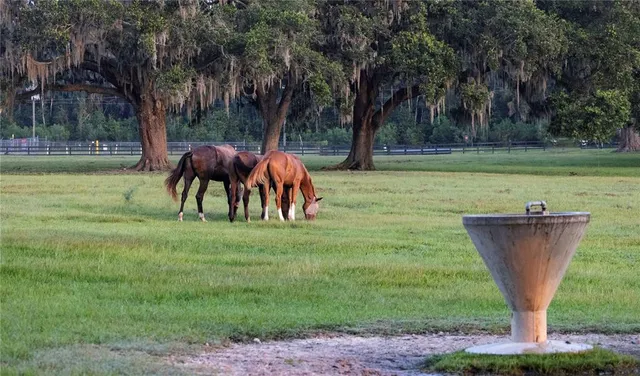 $13,000,000 | 12750 Highway 40, Ocala, FL 34481