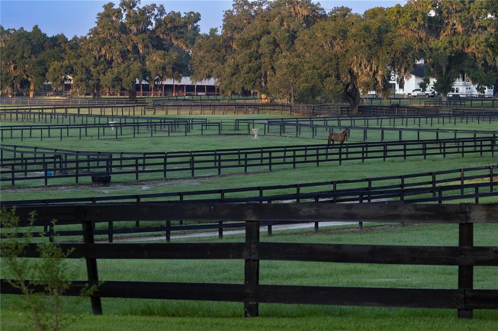 12750 Highway 40 Ocala, FL 34481 - Photo 8 of 43 a view of a park with bench and trees