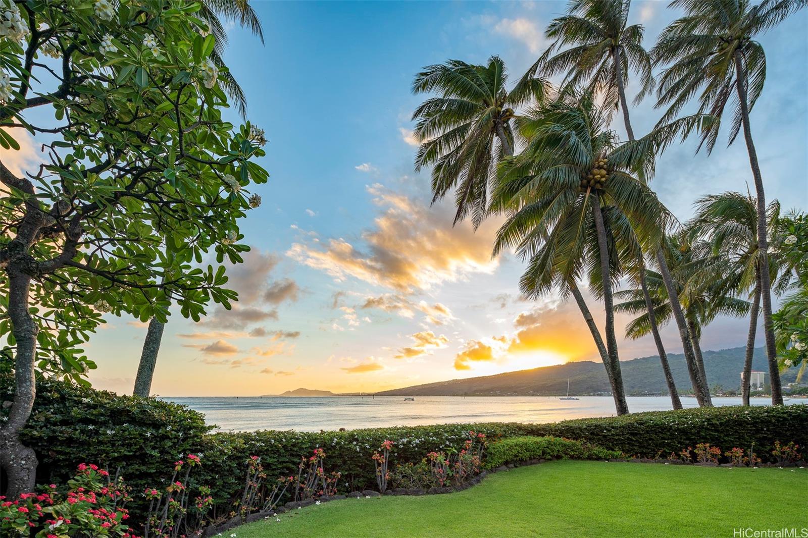 a view of beach and ocean