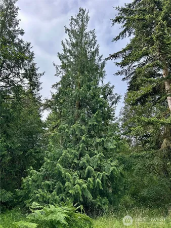 $299,000 | 3202 Cliff Street, Port Townsend, WA 98368