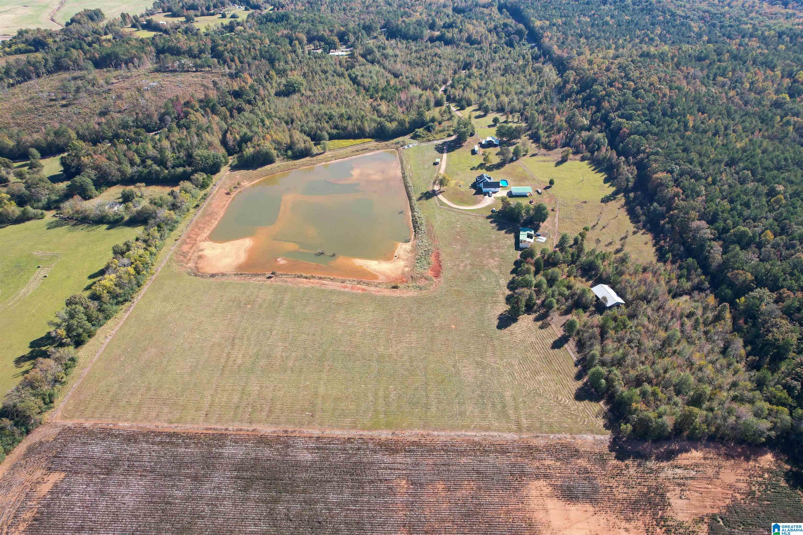 1450 Rendalia Motorway Talladega, AL 35160 - Photo 13 of 64