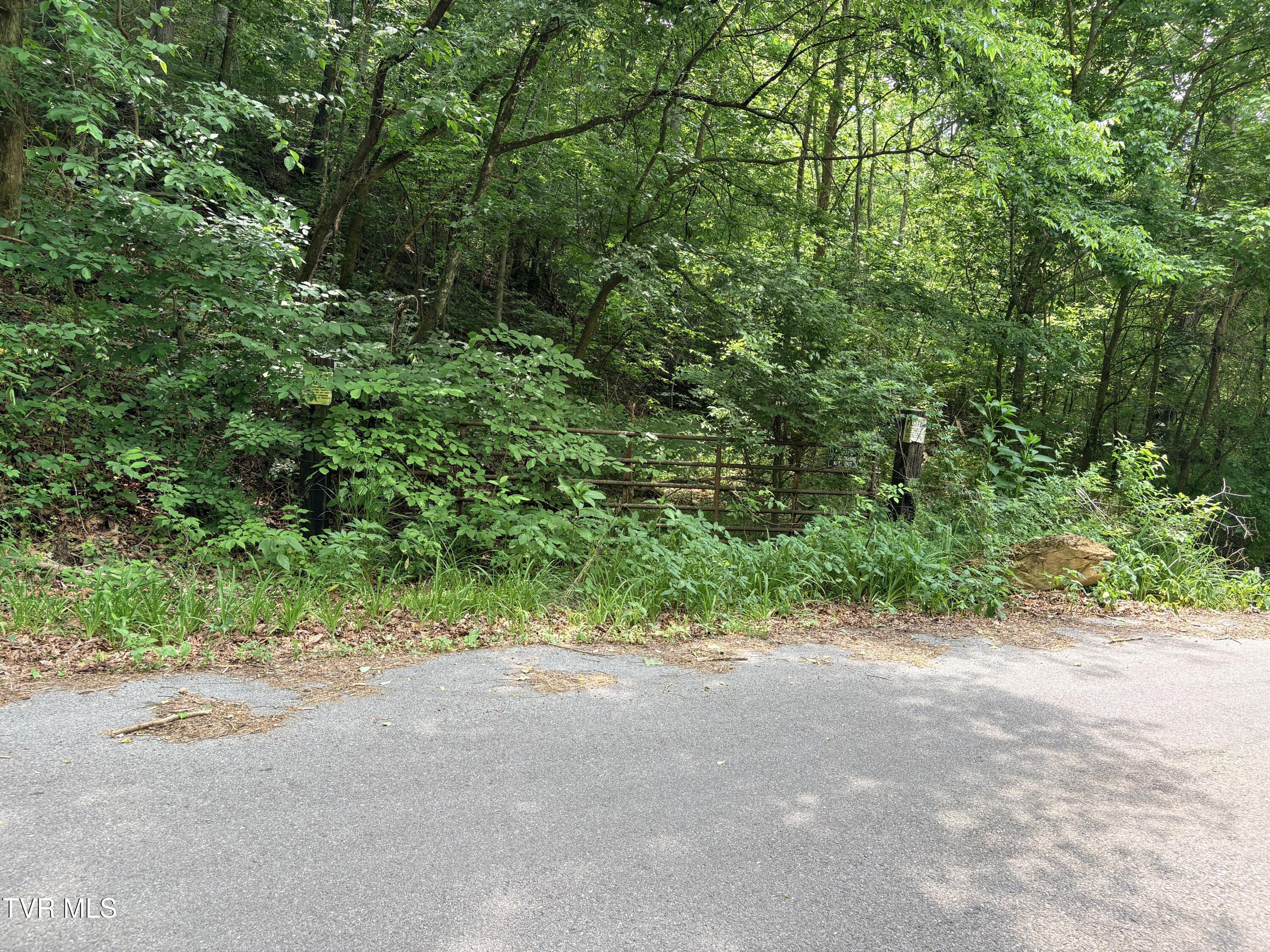 0 Shackleford Road Mosheim, TN 37818 - Photo 10 of 21 IMG_9776