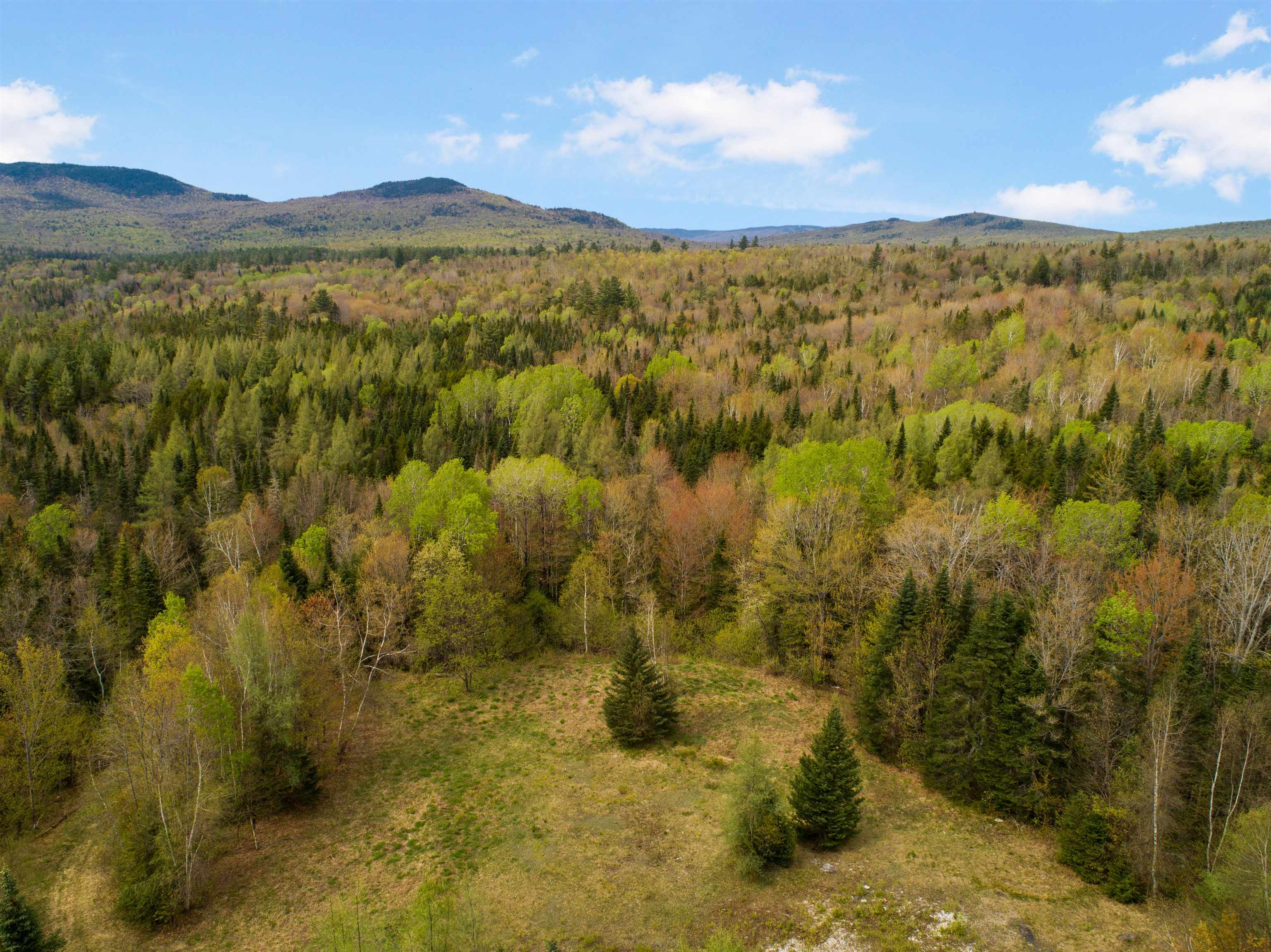 Lot 11 Paris Road Dummer, NH 03588 - Photo 1 of 16