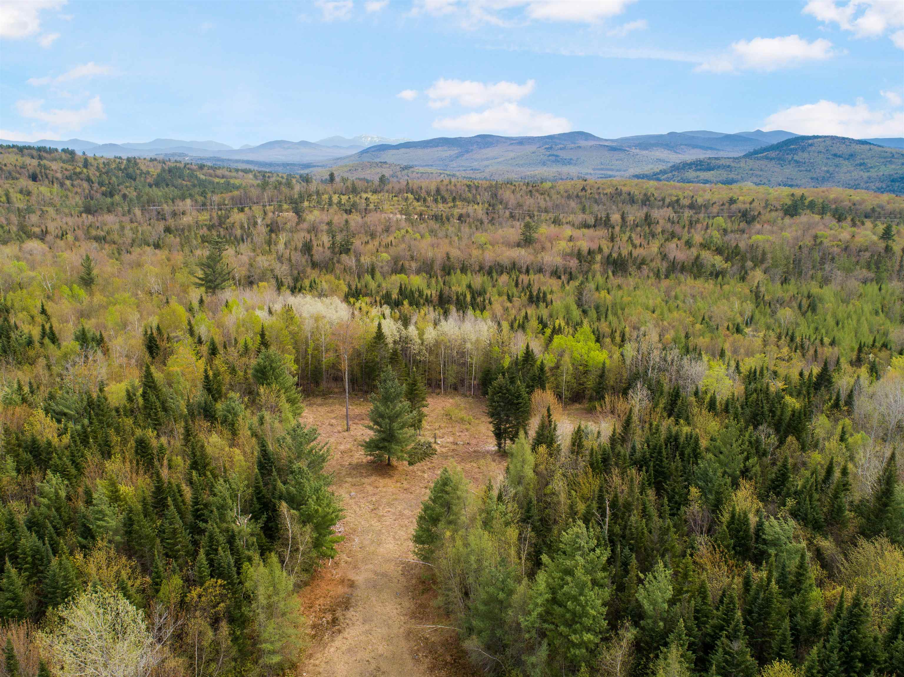 Lot 11 Paris Road Dummer, NH 03588 - Photo 14 of 16