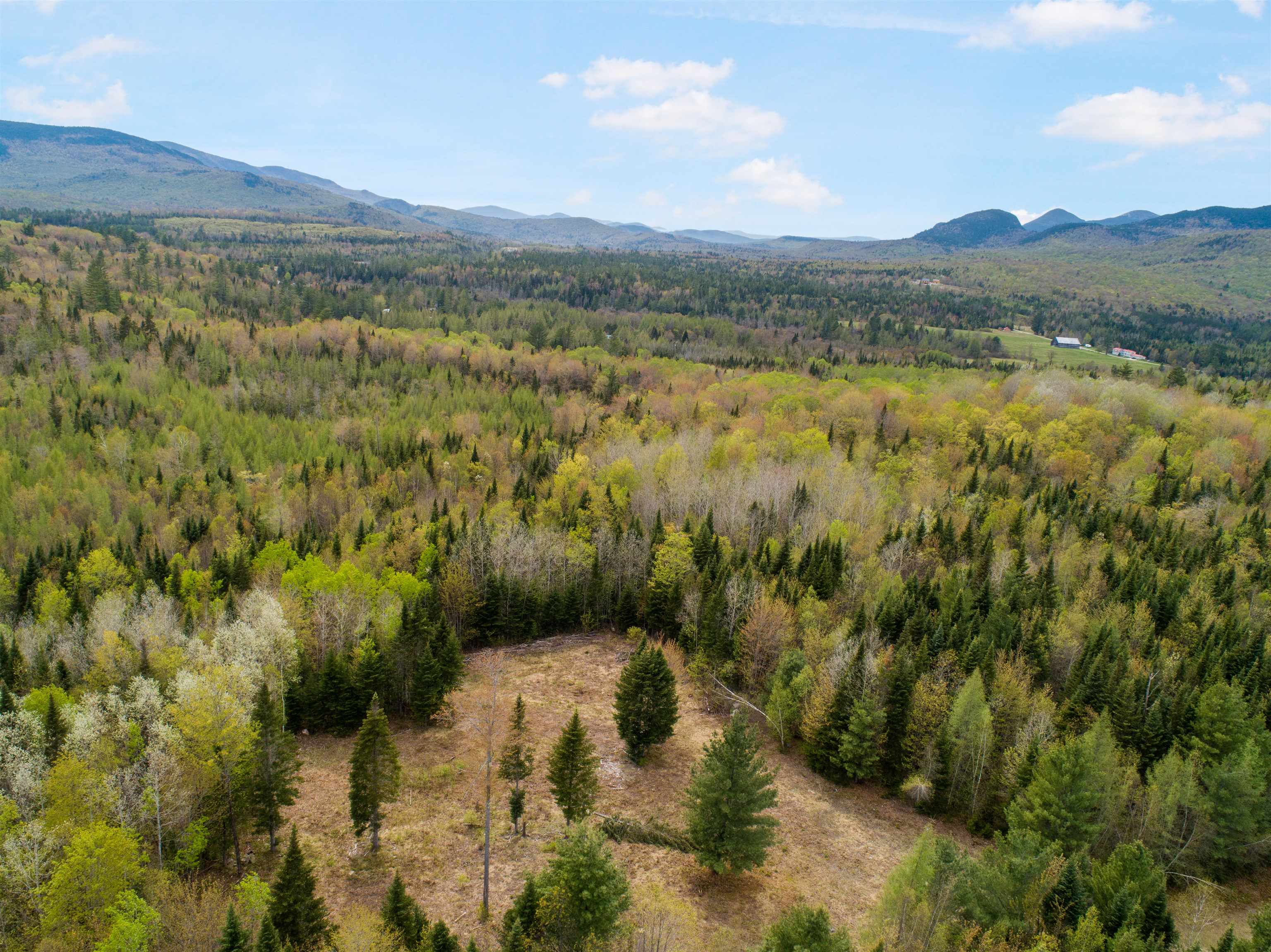 Lot 11 Paris Road Dummer, NH 03588 - Photo 15 of 16