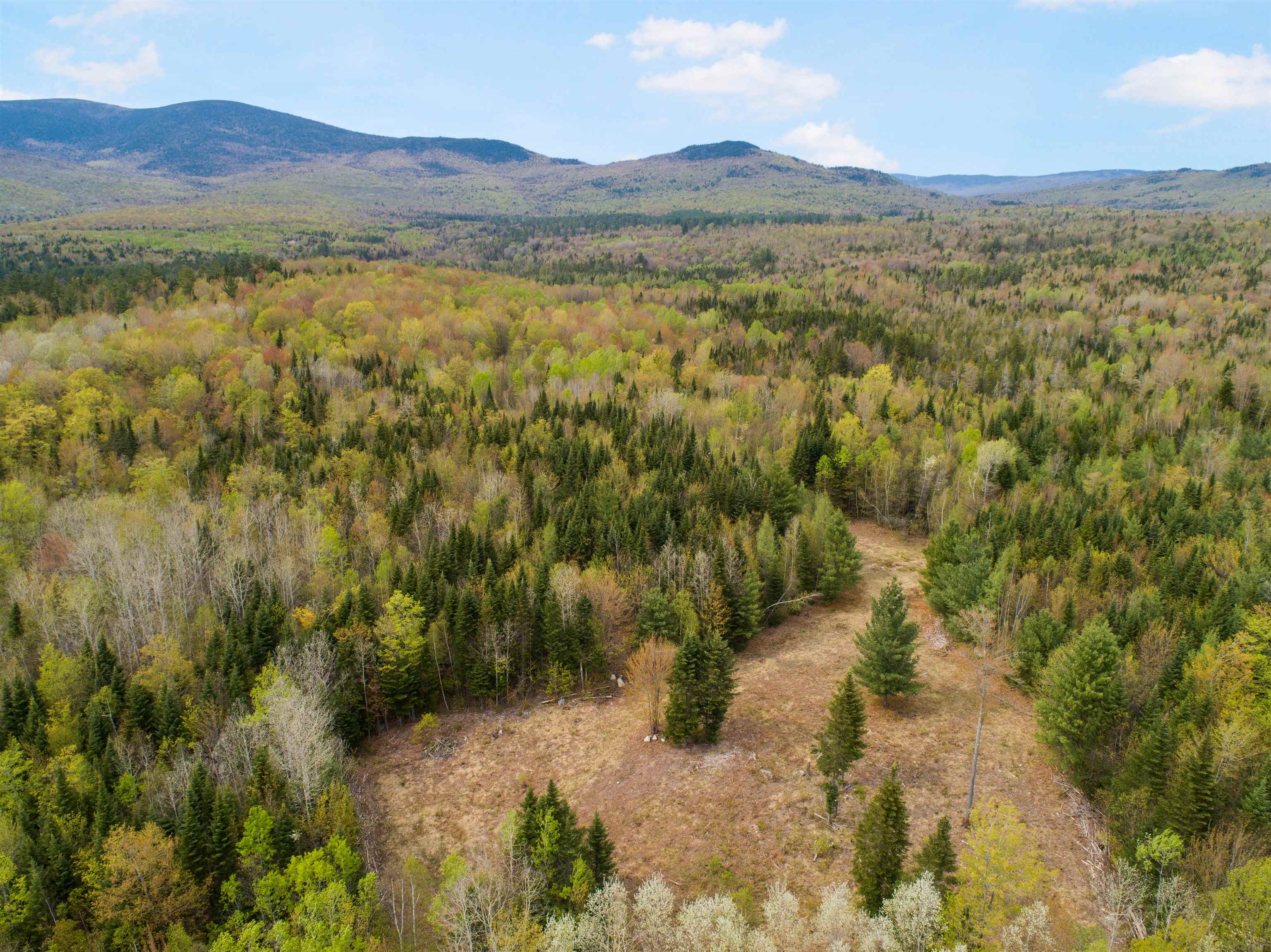 Lot 11 Paris Road Dummer, NH 03588 - Photo 16 of 16