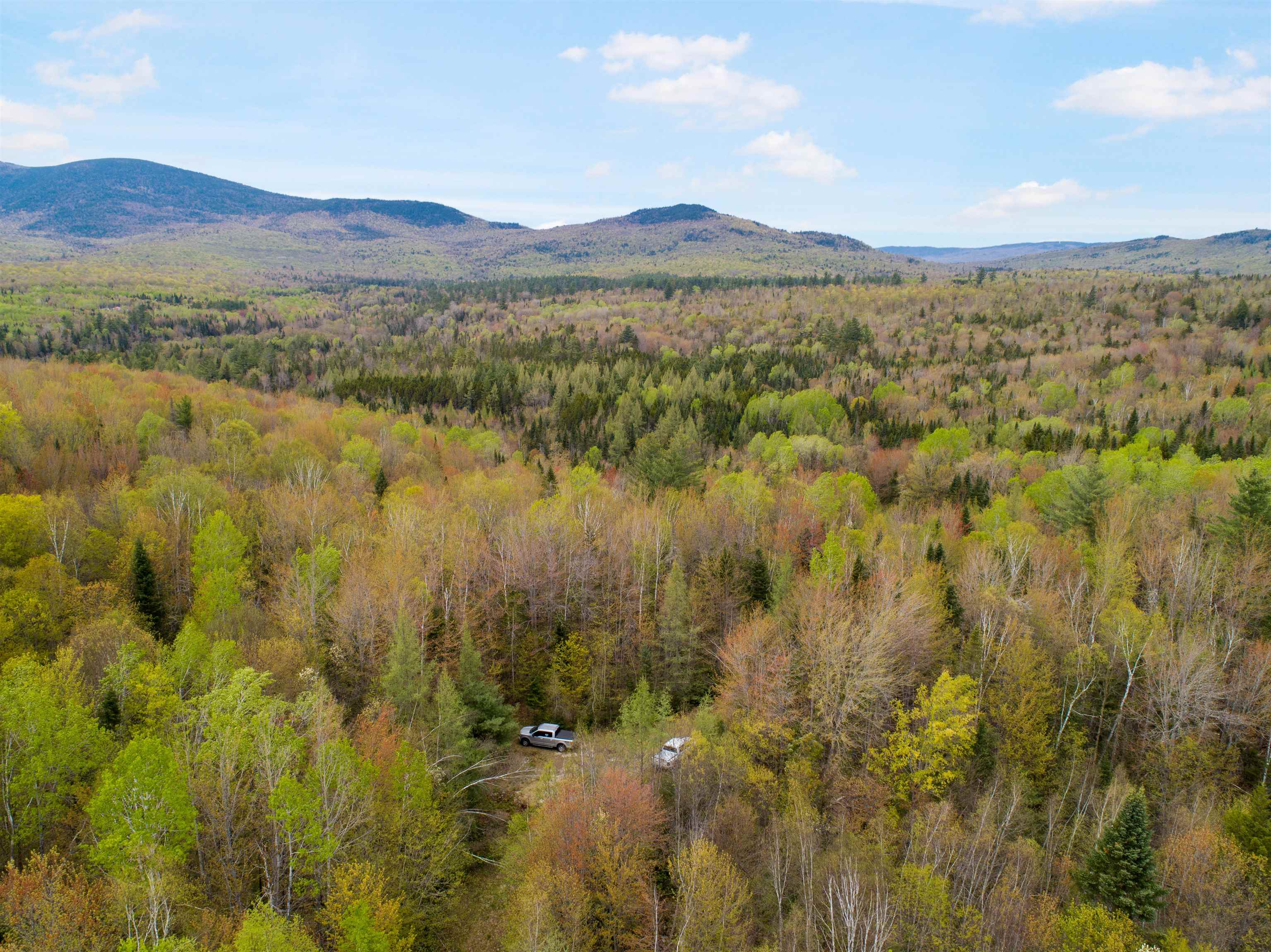 Lot 11 Paris Road Dummer, NH 03588 - Photo 3 of 16