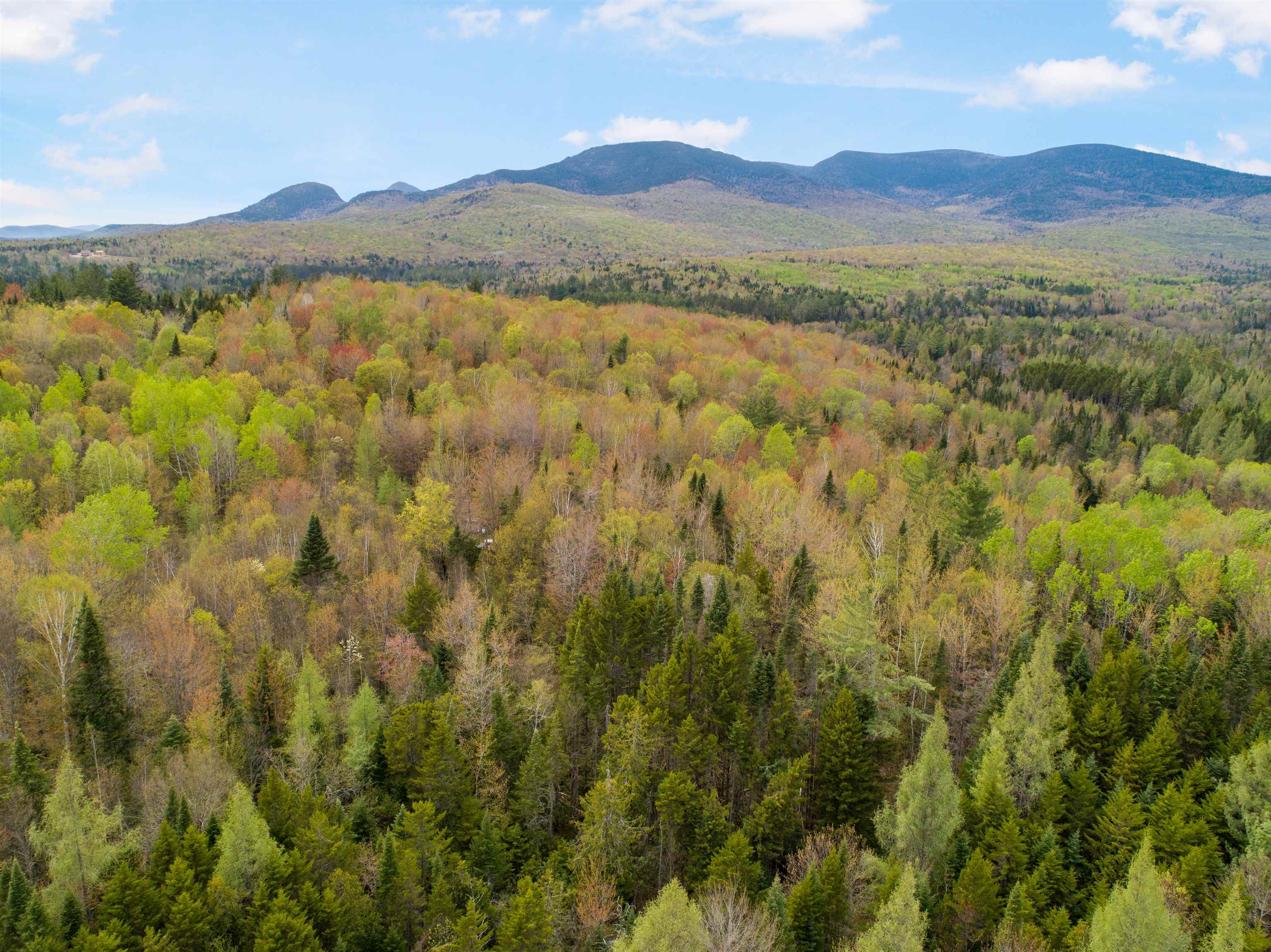 Lot 11 Paris Road Dummer, NH 03588 - Photo 4 of 16
