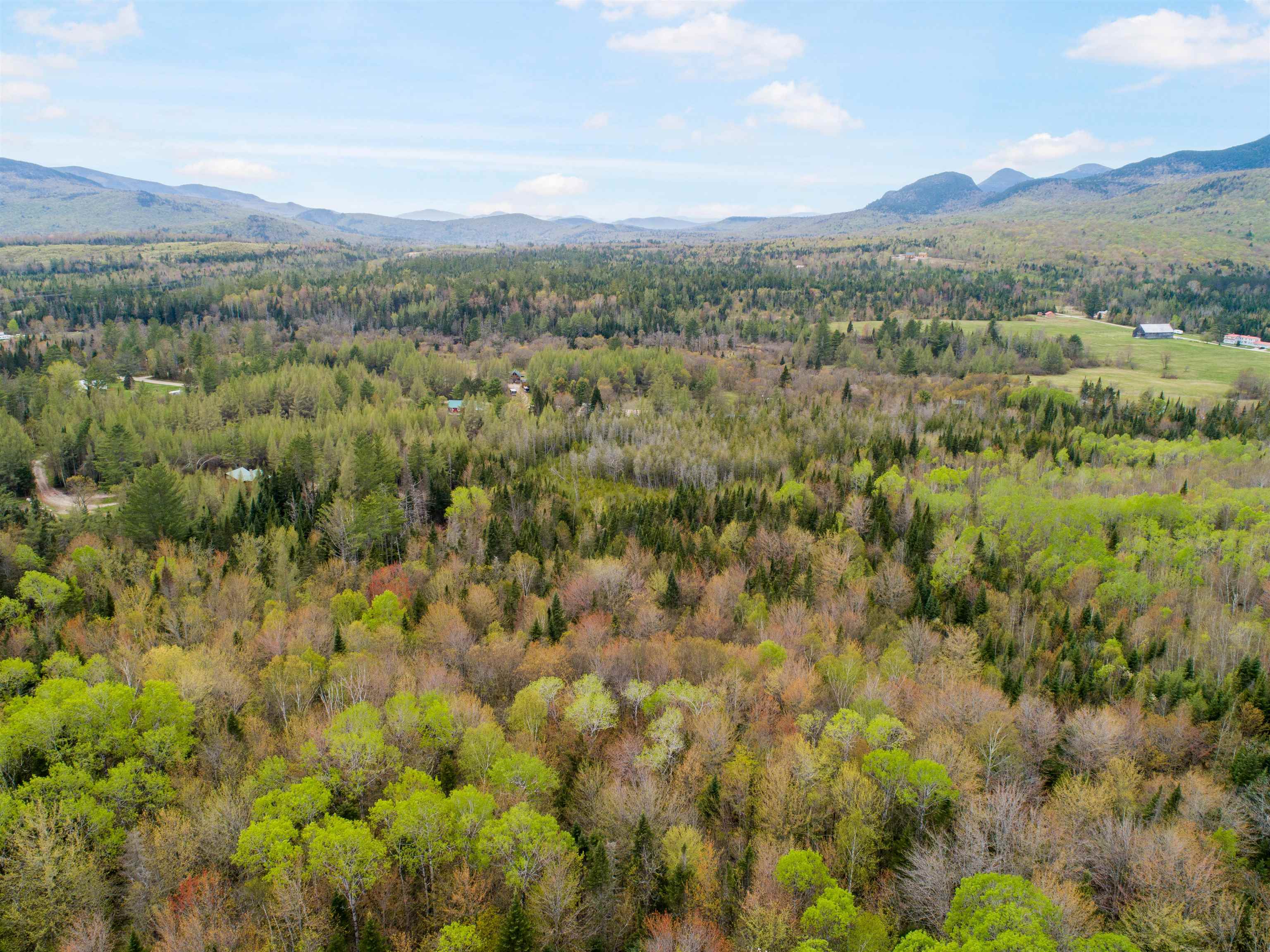 Lot 11 Paris Road Dummer, NH 03588 - Photo 8 of 16
