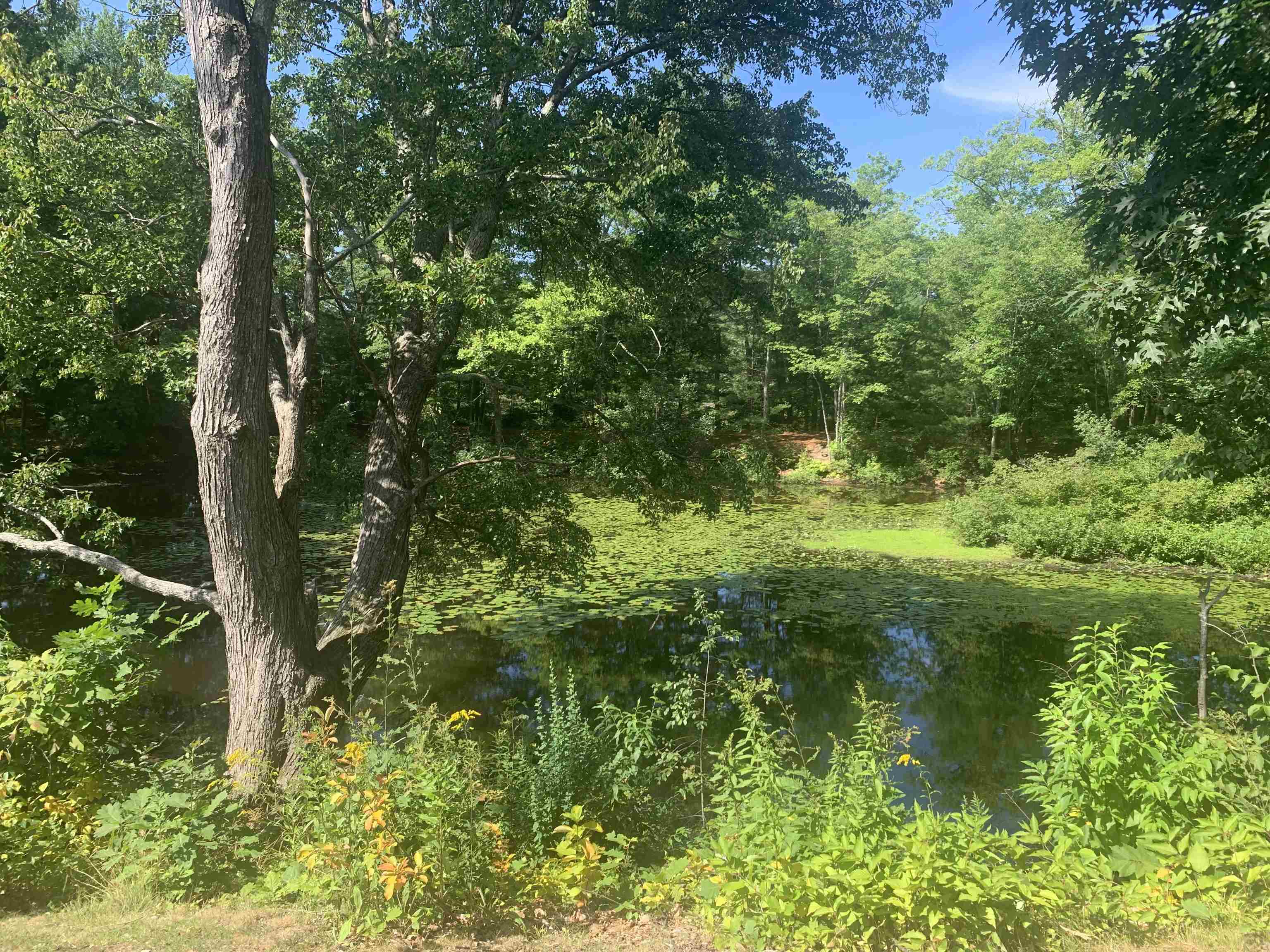 508 Piscassic Street Newmarket, NH 03857 - Photo 26 of 28