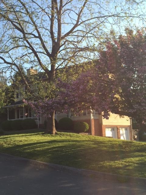 2129 Windbrook Road Knoxville, TN 37923 - Photo 4 of 33 Gallery Image 4