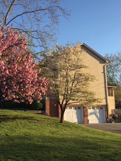 2129 Windbrook Road Knoxville, TN 37923 - Photo 5 of 33 Gallery Image 5