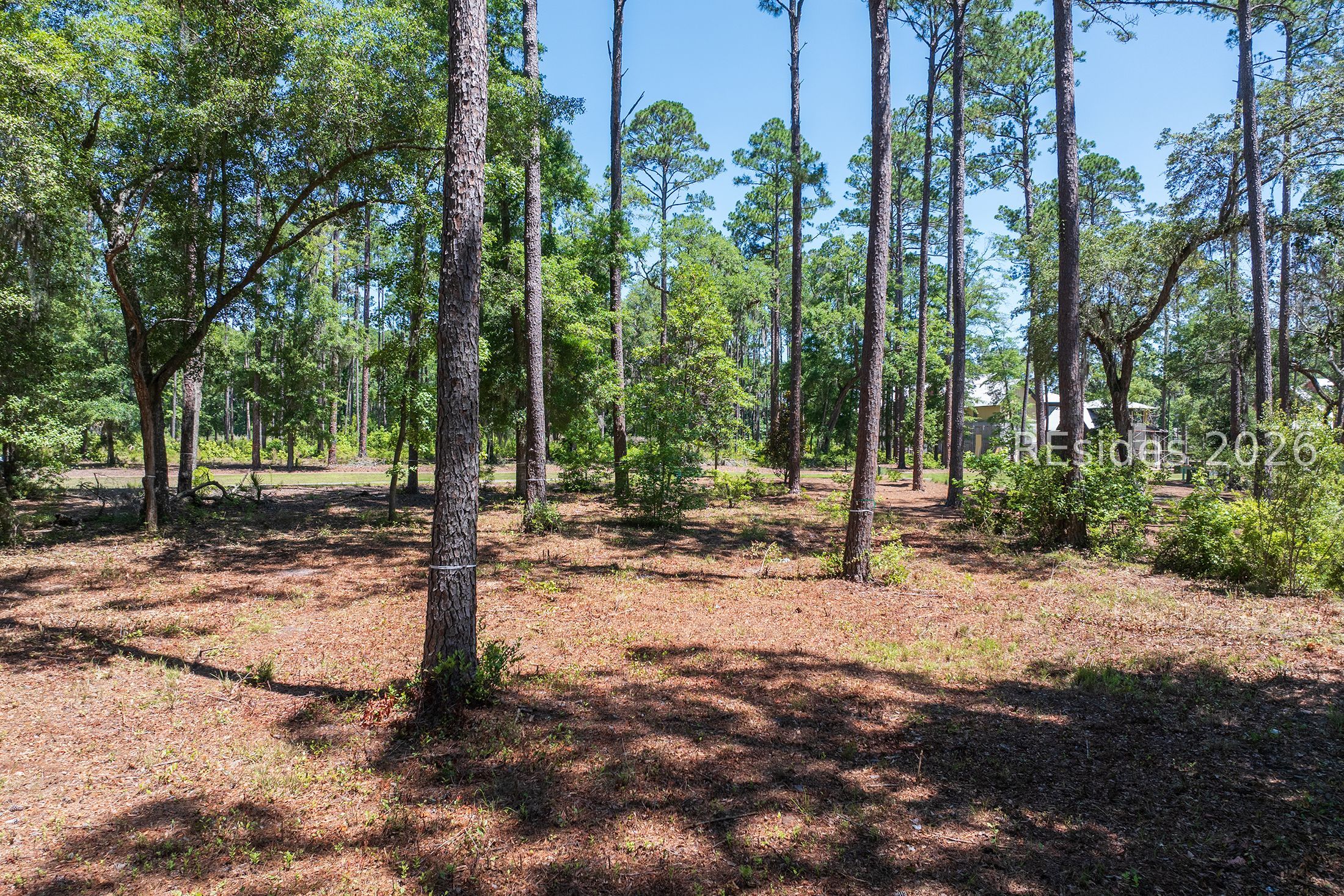 77 Lupine Road Bluffton, SC 29910 - Photo 19 of 28