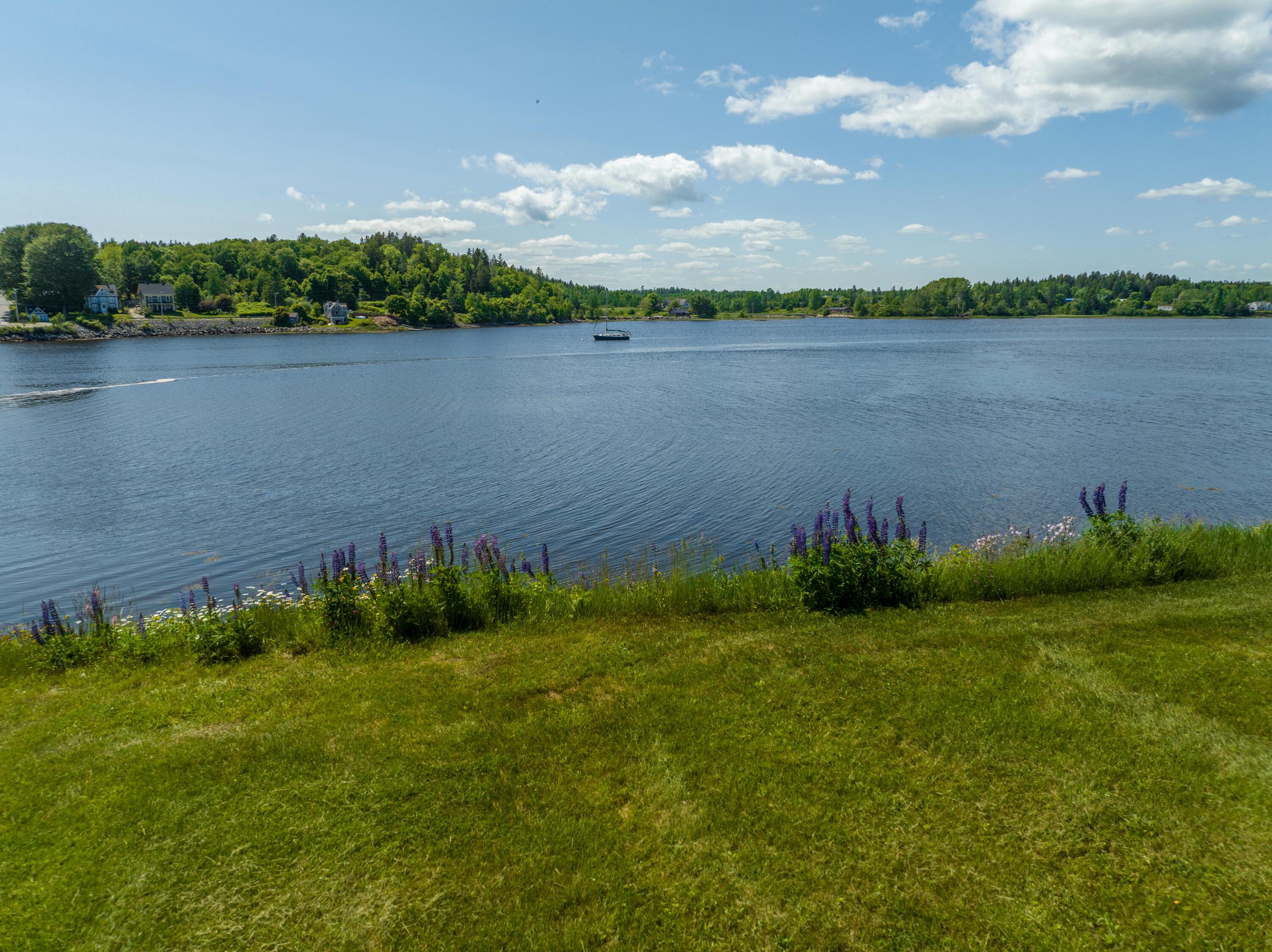 99 Narrows Road Machiasport, ME 04655 - Photo 65 of 75 99 Narrows Rd. Machiasport June 2023 (25