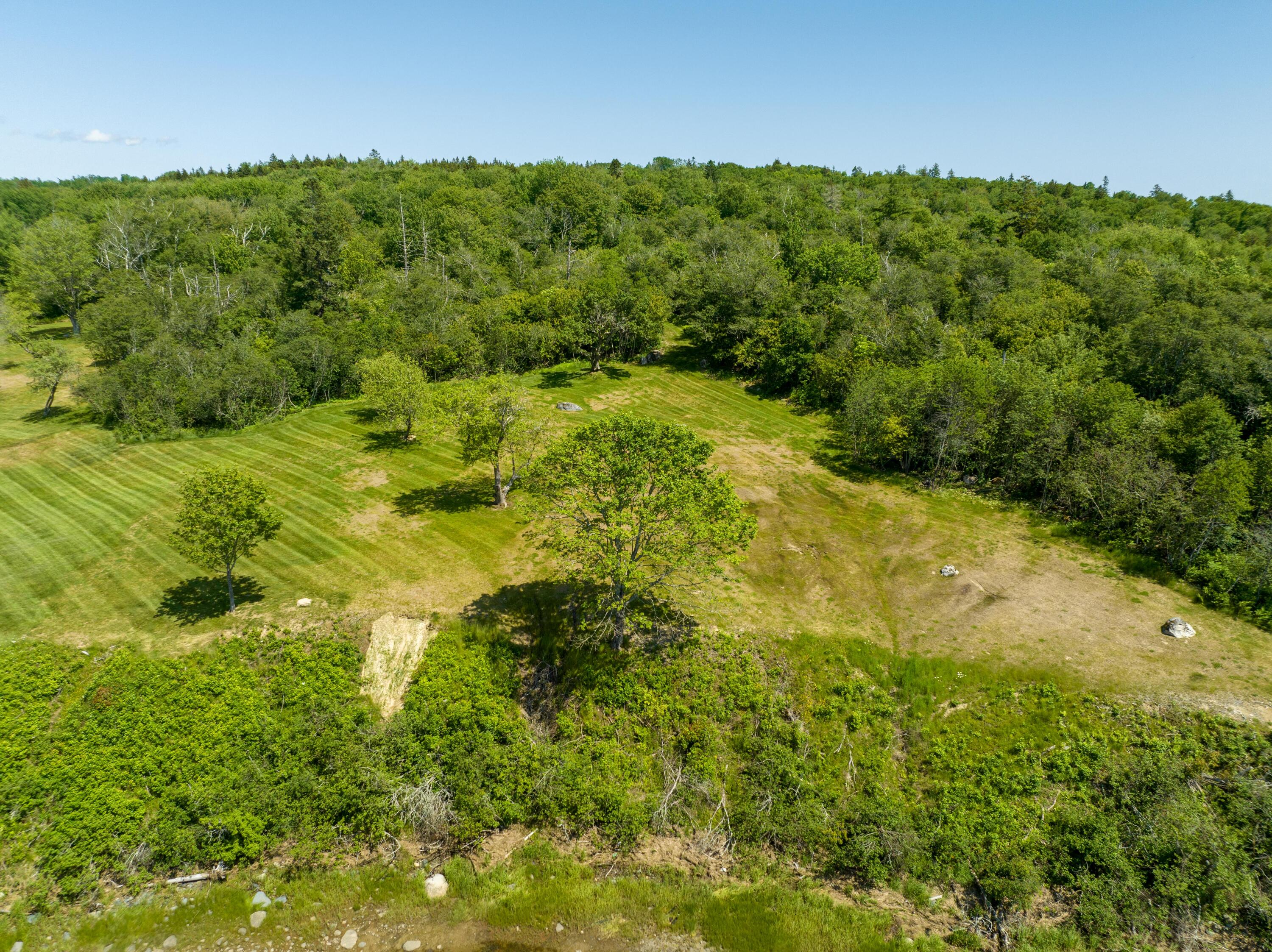 99 Narrows Road Machiasport, ME 04655 - Photo 69 of 75 99 Narrows Rd. Machiasport June 2023 (10