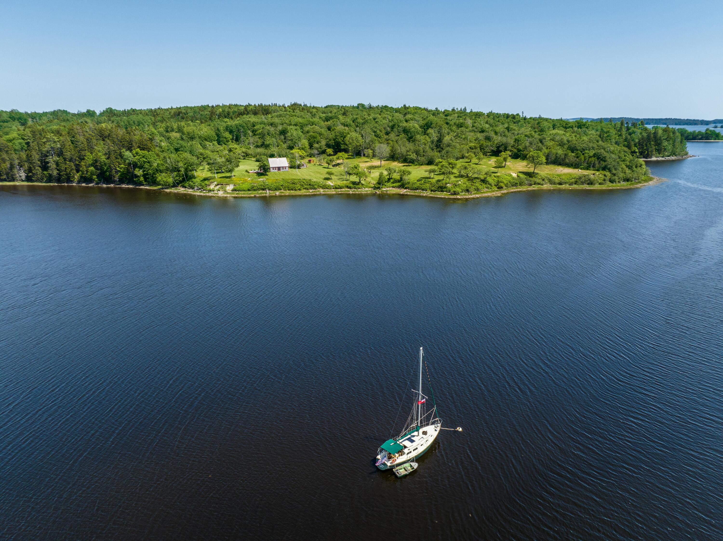 99 Narrows Road Machiasport, ME 04655 - Photo 7 of 75 99 Narrows Rd. Machiasport June 2023 (3