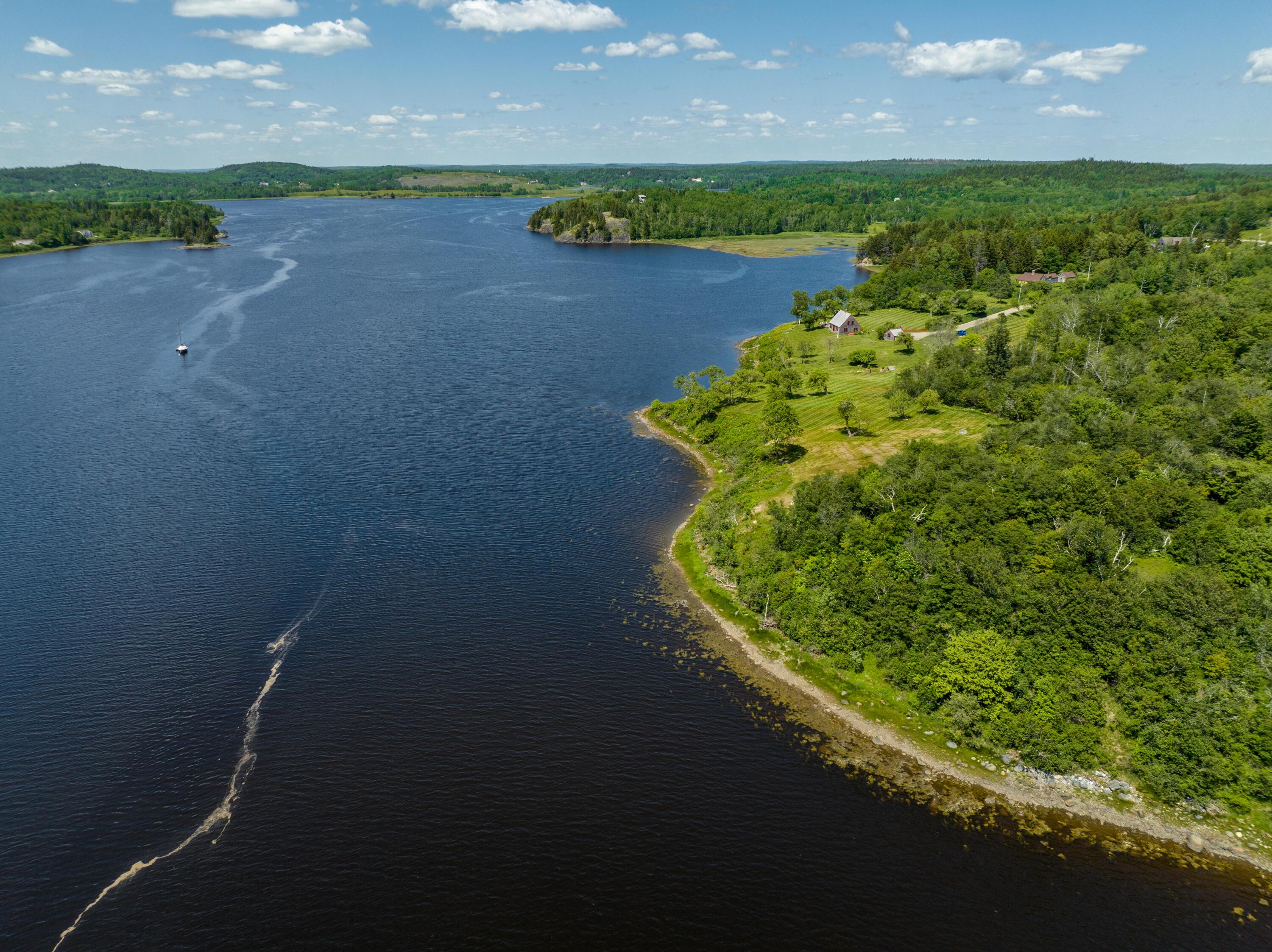 99 Narrows Road Machiasport, ME 04655 - Photo 71 of 75 99 Narrows Rd. Machiasport June 2023 (4