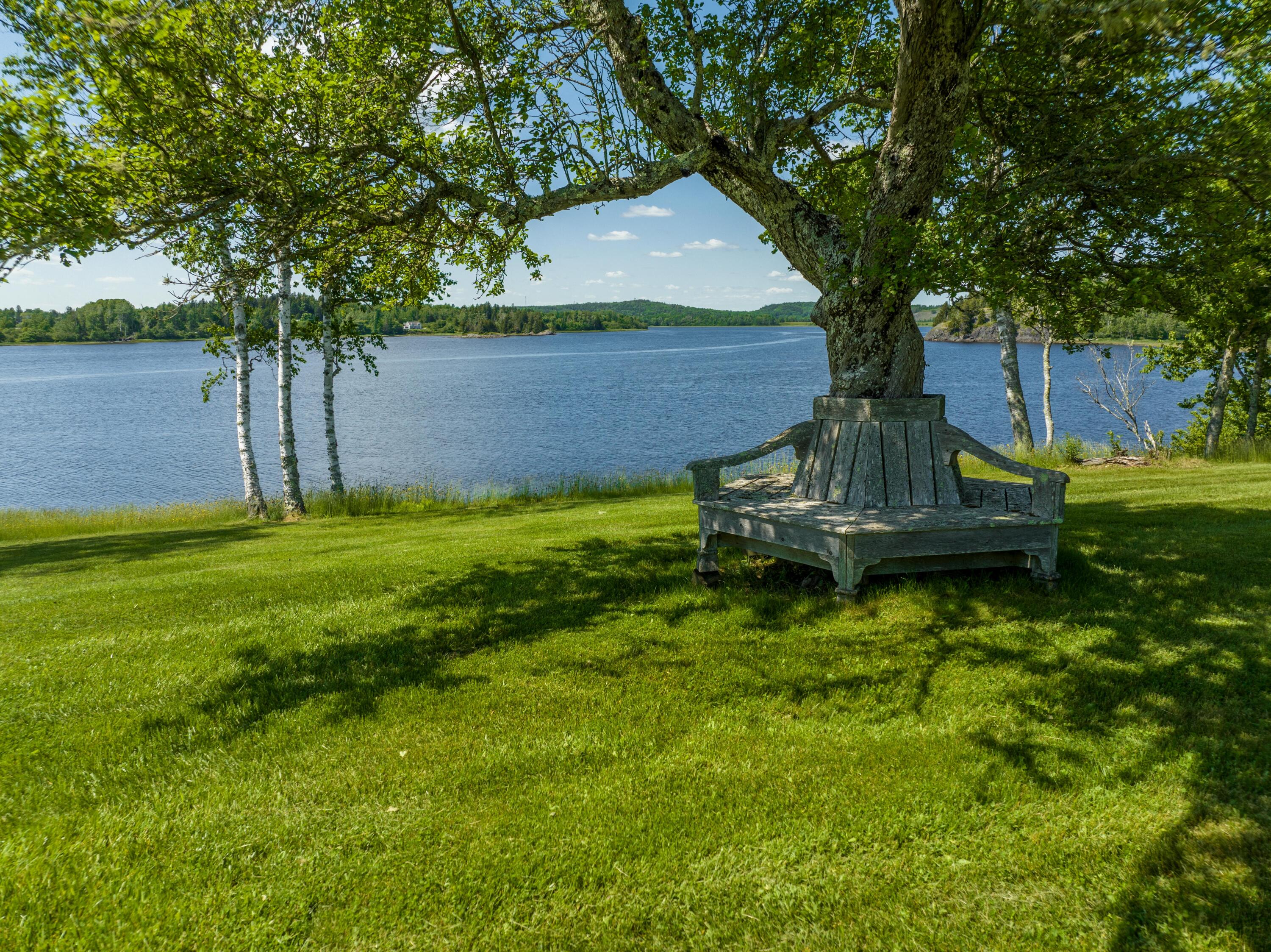 99 Narrows Road Machiasport, ME 04655 - Photo 10 of 75 99 Narrows Rd. Machiasport June 2023 (35