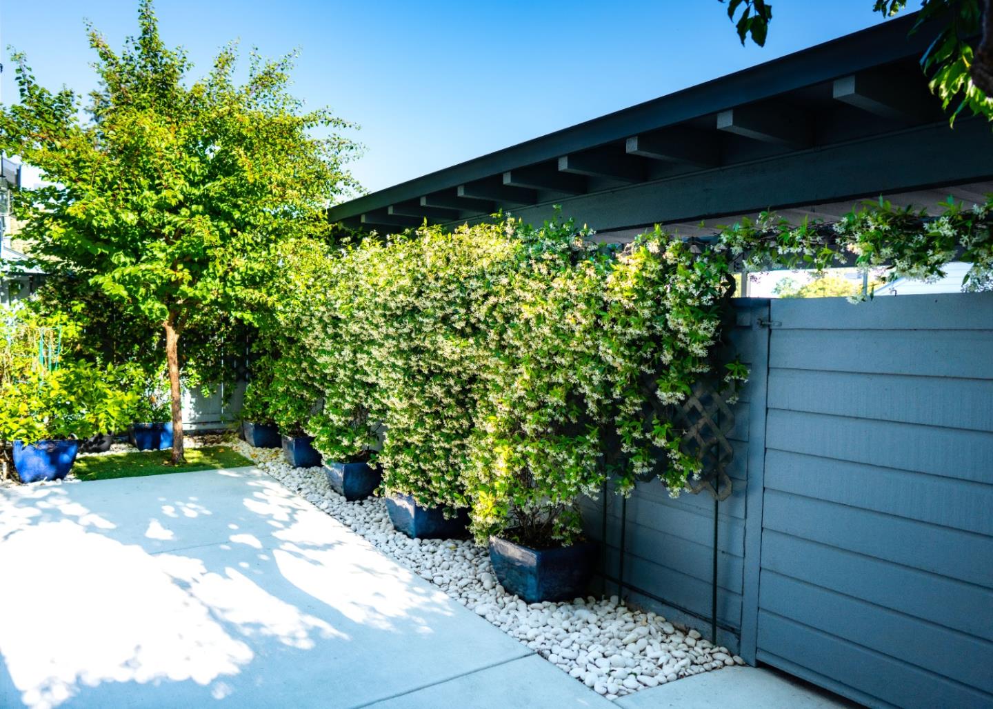 413 Cork Harbour Circle, Unit E Redwood City, CA 94065 - Photo 3 of 23 a backyard of a house with lots of green space