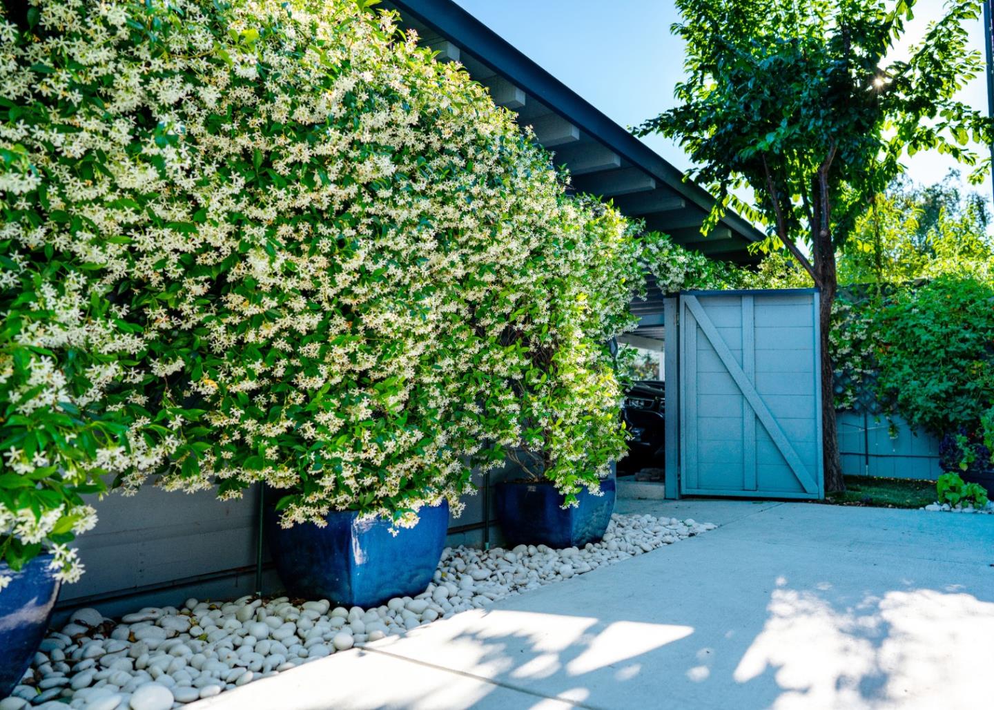 413 Cork Harbour Circle, Unit E Redwood City, CA 94065 - Photo 4 of 23 a couple of potted plants in front of door
