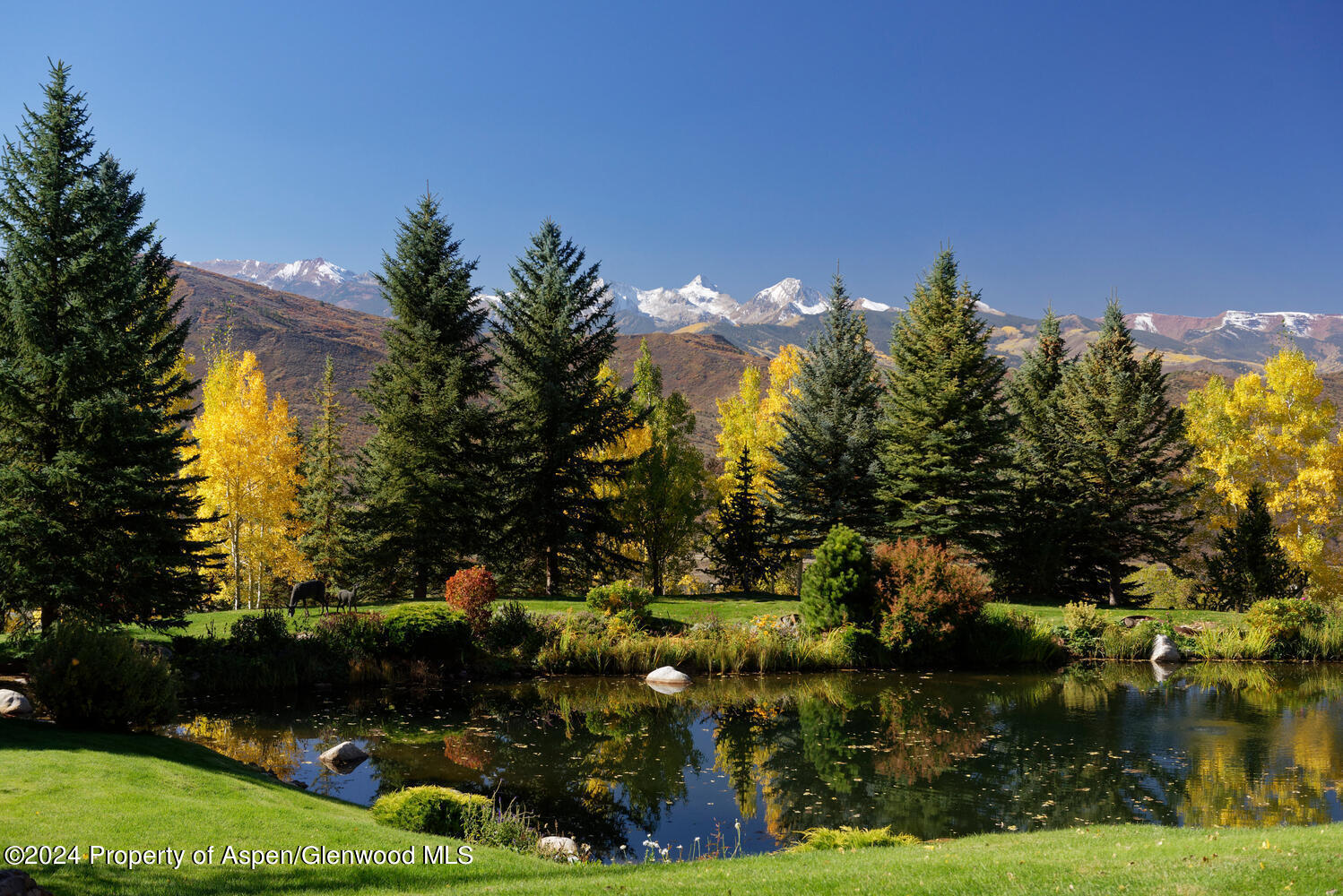 120 Running Mare Road Woody Creek, CO 81656 - Photo 46 of 53 a view of lake and yard