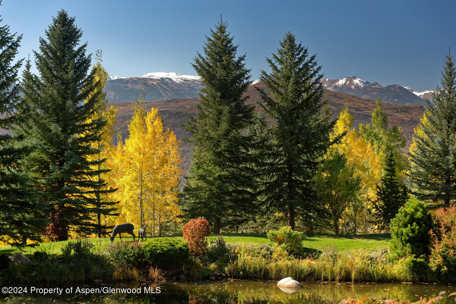 120 Running Mare Road Woody Creek, CO 81656 - Photo 50 of 53 a view of an outdoor space yard and green space