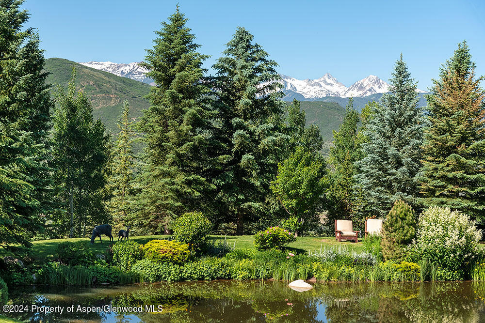 120 Running Mare Road Woody Creek, CO 81656 - Photo 8 of 53 a view of a flower in a garden