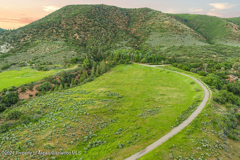 120 Running Mare Road Woody Creek, CO 81656 - Photo 9 of 53 a view of a large garden with plants and large trees
